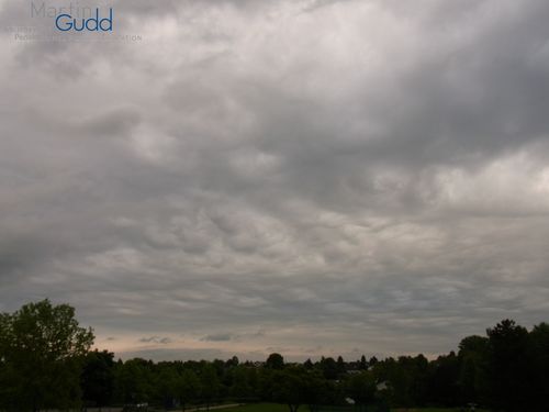 Altocumulus stratiformis opacus asperitas (großflächig entwickelt / extensive development)