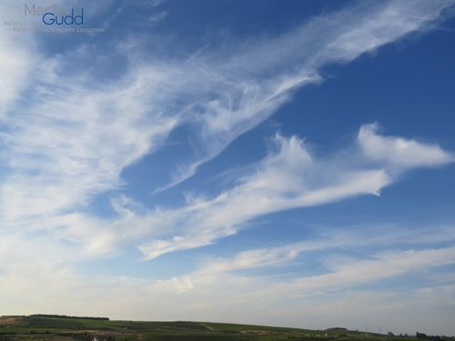 Cirrus uncinus radiatus