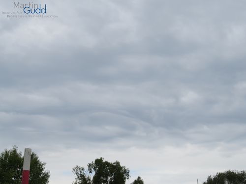 Altocumulus stratiformis opacus asperitas (nur örtlich entwickelt / only locally developed)